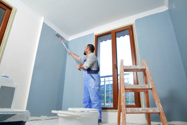 Best Painting for New Construction  in Albion, MI